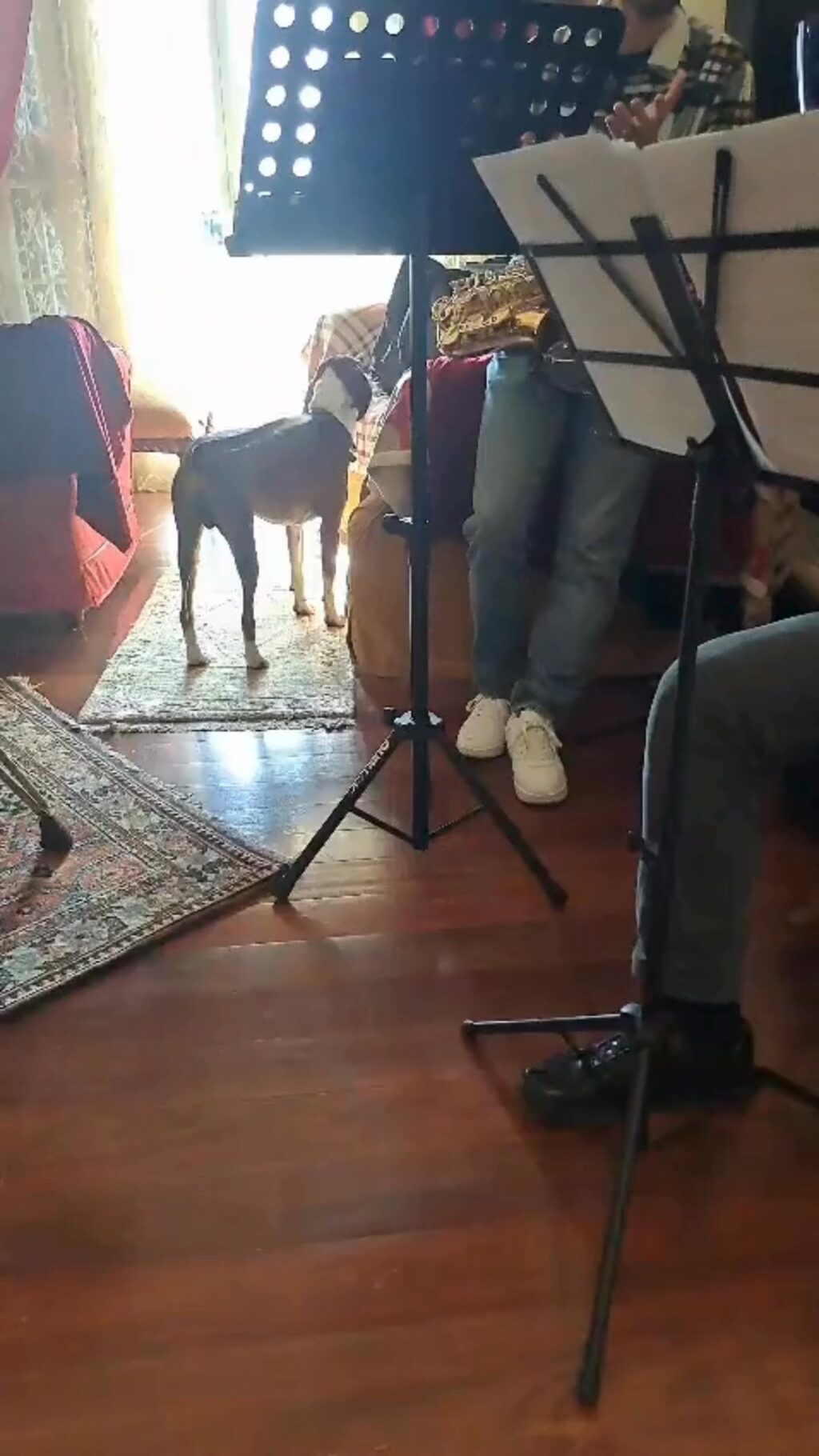 Instagram post from teodorofumi. This post is in position 0.