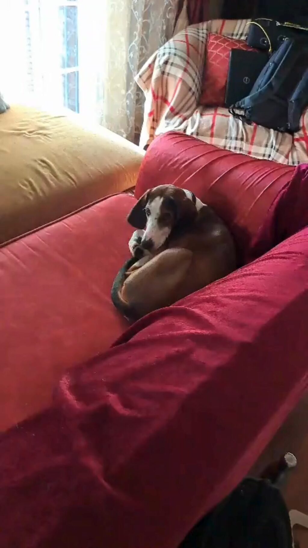 Instagram post from teodorofumi. This post is in position 5.