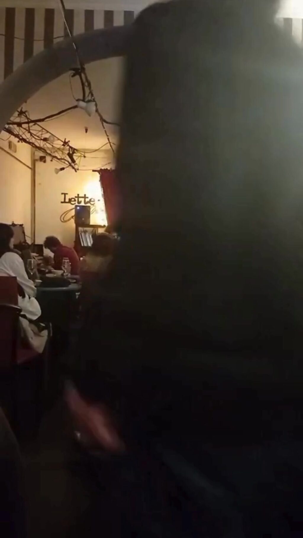 Instagram post from teodorofumi. This post is in position 4.